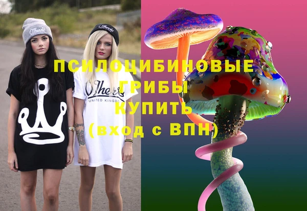 спиды Покачи