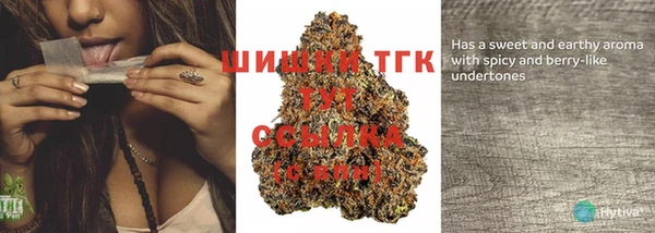 спиды Покачи