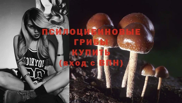 спиды Покачи