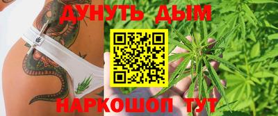 дживик Шелехов