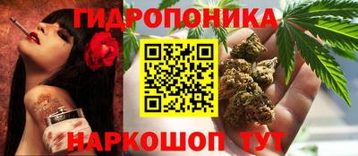 прущая мука Шебекино