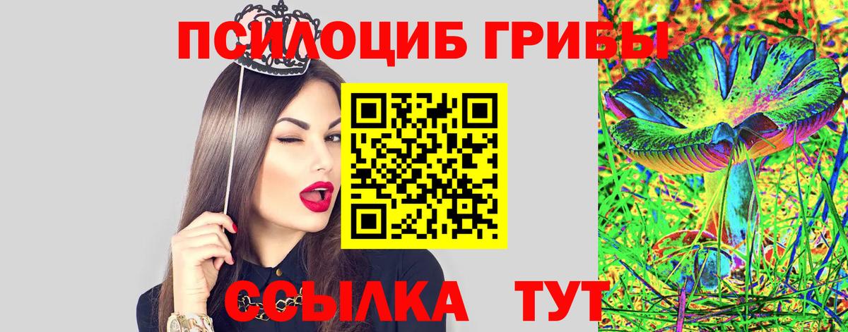 Псилоцибиновые грибы ЛСД  Вход с VPN  Новосибирск  Галлюциногенные грибы GOLDEN TEACHER 